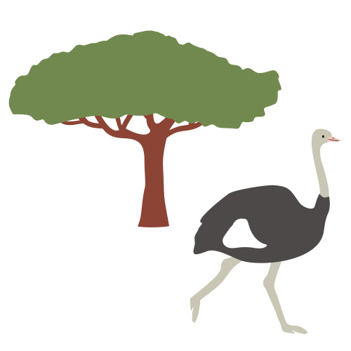 eyecenter_コラム06