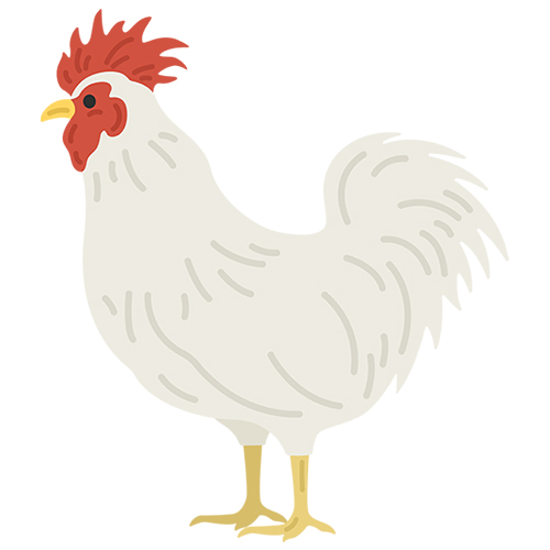 ニワトリ_よもやま話vol9