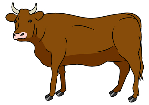 ウシ_よもやま話vol9