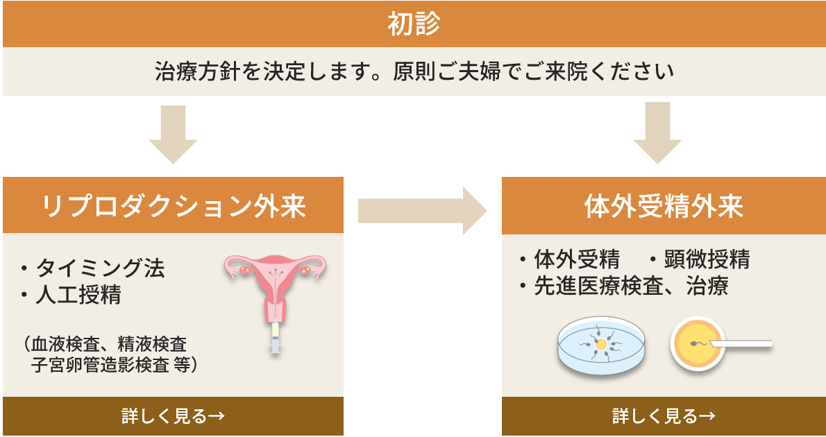 IVF受診の流れ